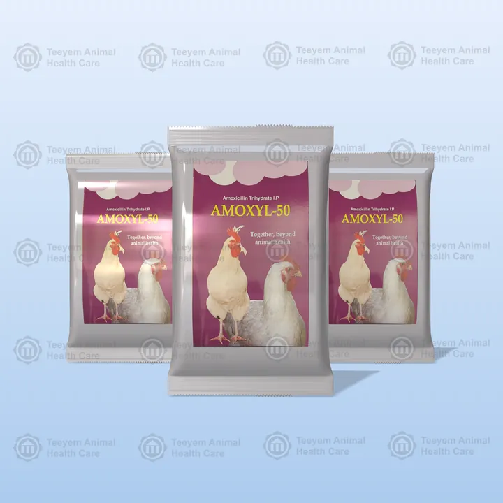 Amoxyl-50 packs