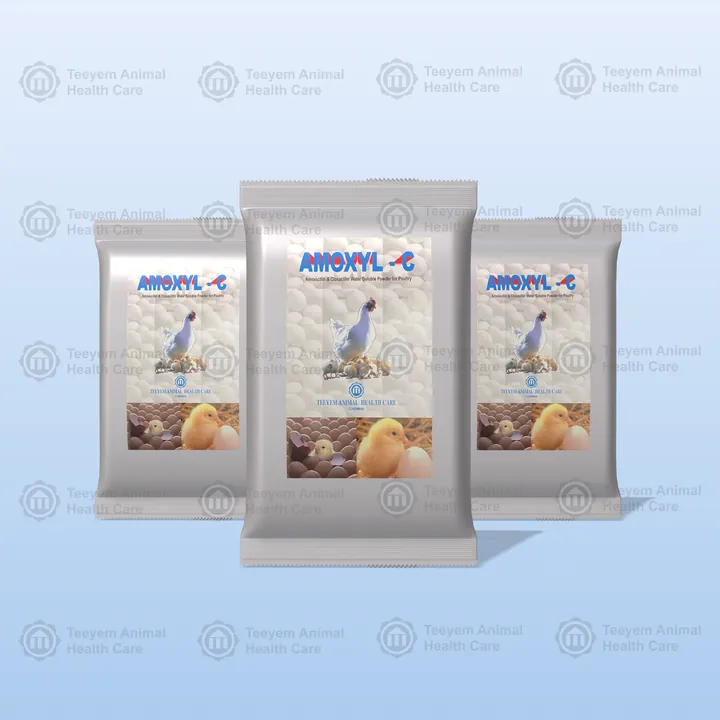 Amoxyl-C packs