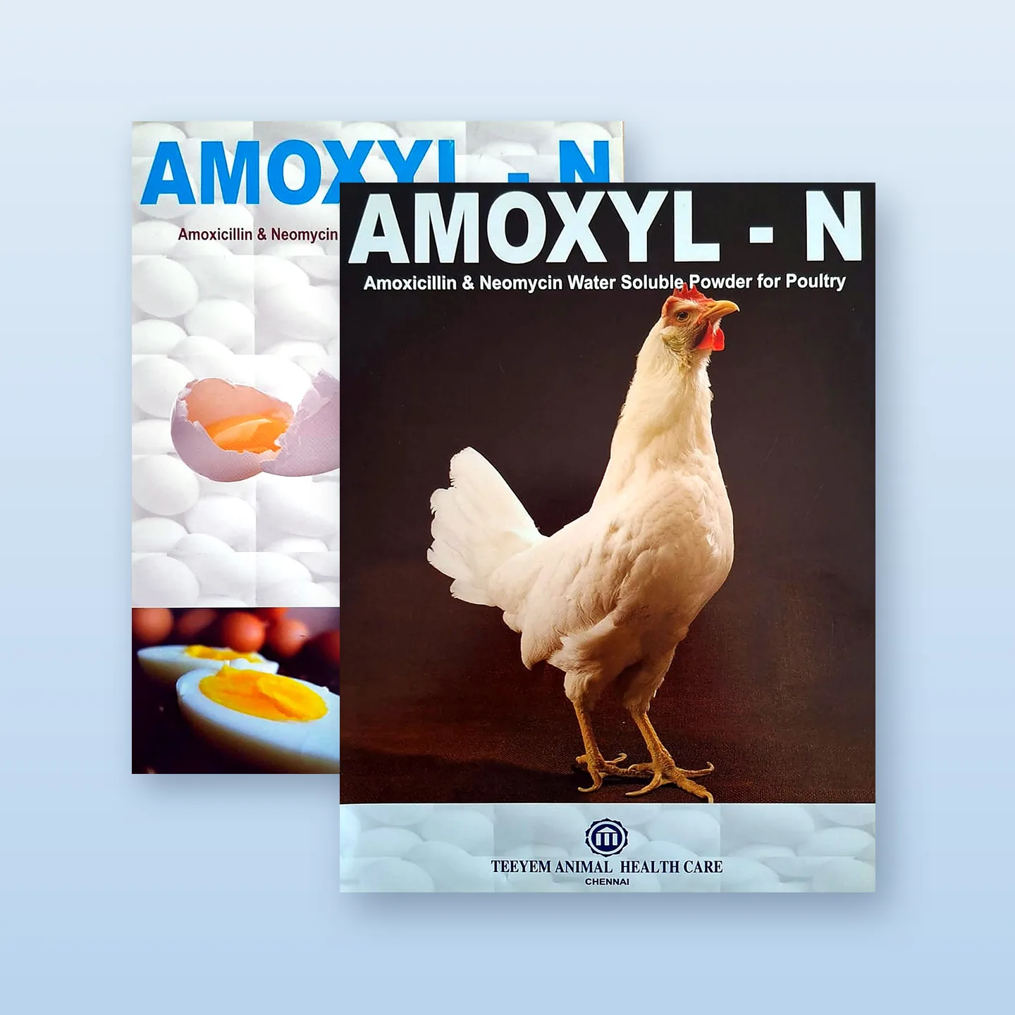 Amoxyl-N: Leaflet front and back