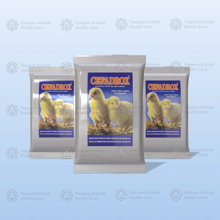 Cefadrox® packs