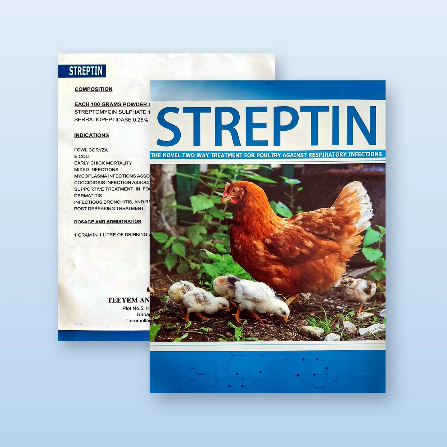 Streptin: Leaflet front and back
